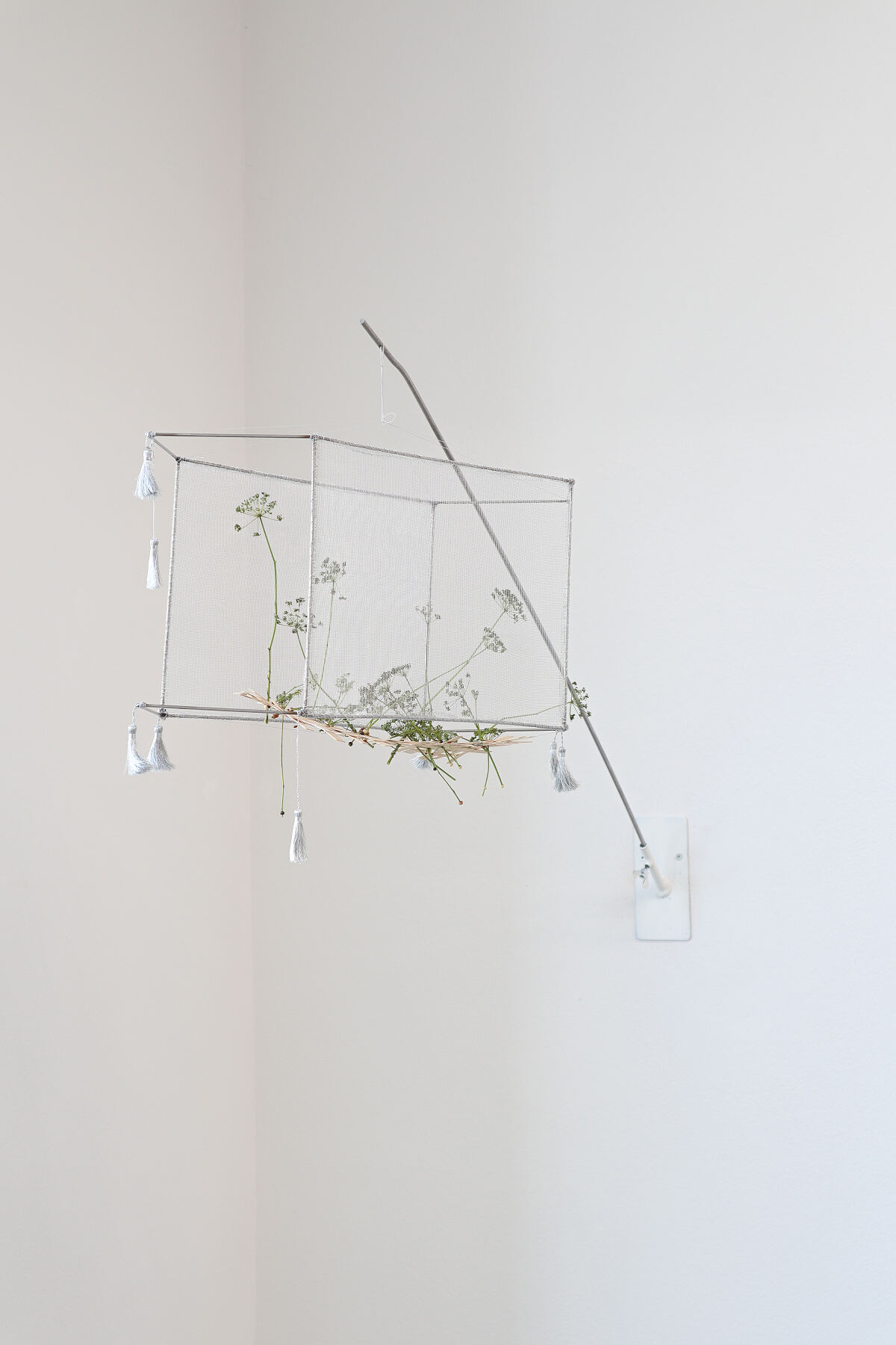 If my body could tremble after death, 2025 - So Young Park 