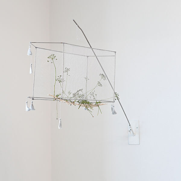 If my body could tremble after death, 2025 - So Young Park 