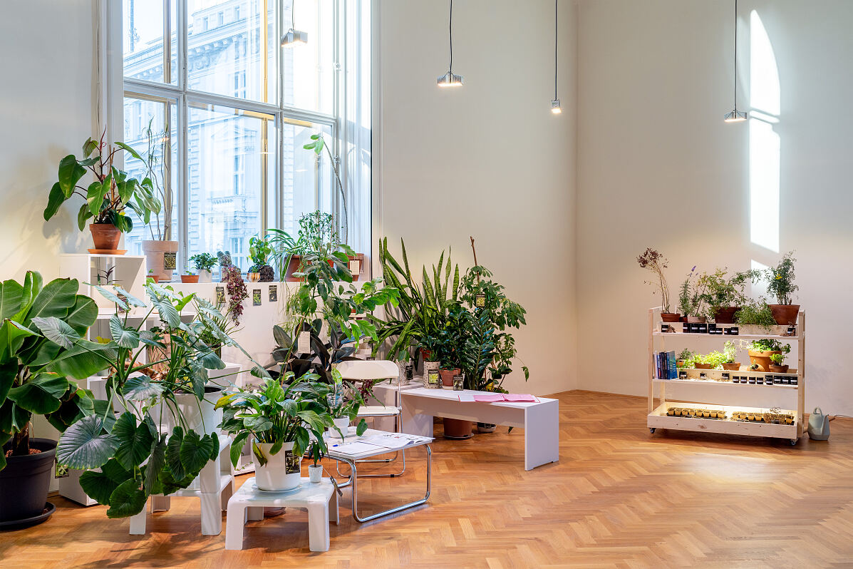 Bordering Plants, Ausstellungsansicht, Exhibit Galerie