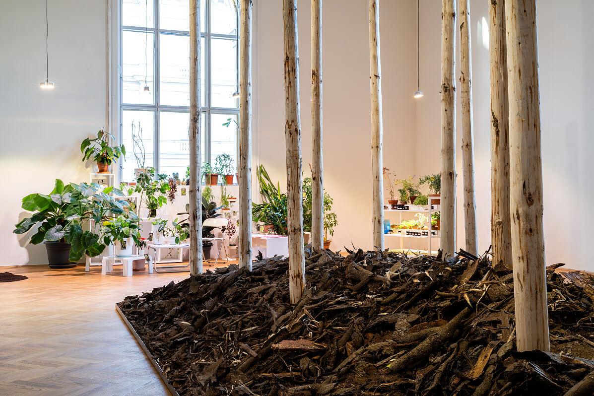 Bordering Plants, Ausstellungsansicht, Exhibit Galerie
