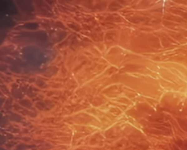 Header Presseaussendung 